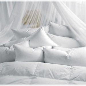 Over Stuffed Down Pillow Star Bedding Co